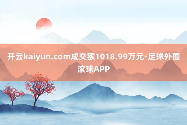 开云kaiyun.com成交额1018.99万元-足球外围滚球APP