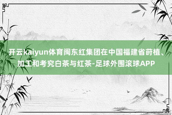 开云kaiyun体育闽东红集团在中国福建省莳植、加工和考究白茶与红茶-足球外围滚球APP