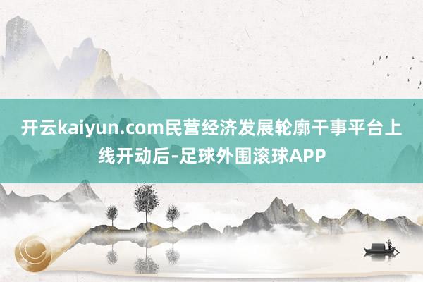 开云kaiyun.com民营经济发展轮廓干事平台上线开动后-足球外围滚球APP