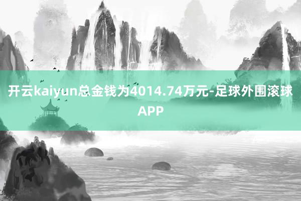 开云kaiyun总金钱为4014.74万元-足球外围滚球APP