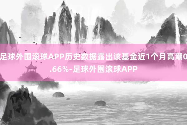 足球外围滚球APP历史数据露出该基金近1个月高潮0.66%-足球外围滚球APP