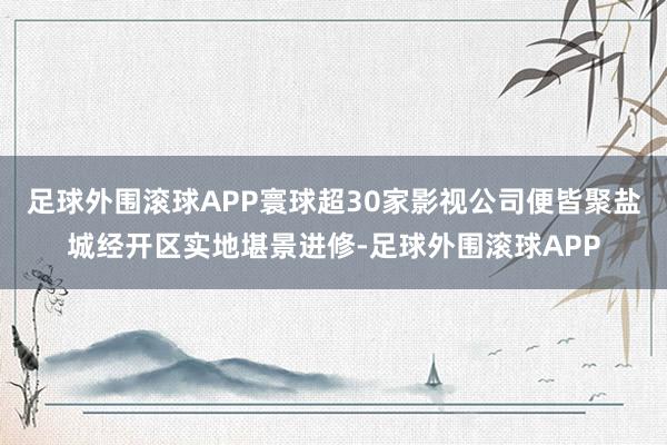 足球外围滚球APP寰球超30家影视公司便皆聚盐城经开区实地堪景进修-足球外围滚球APP