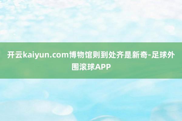 开云kaiyun.com博物馆则到处齐是新奇-足球外围滚球APP