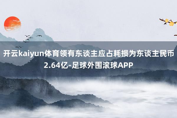 开云kaiyun体育领有东谈主应占耗损为东谈主民币2.64亿-足球外围滚球APP