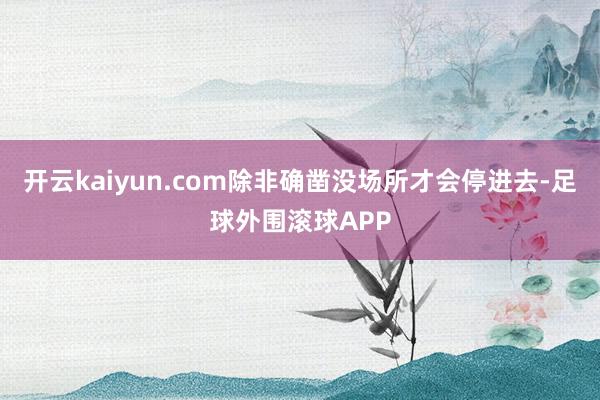 开云kaiyun.com除非确凿没场所才会停进去-足球外围滚球APP