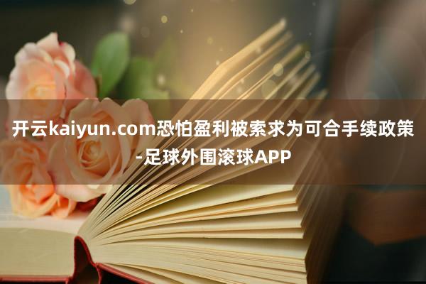 开云kaiyun.com恐怕盈利被索求为可合手续政策-足球外围滚球APP