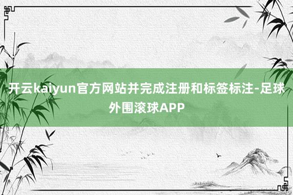 开云kaiyun官方网站并完成注册和标签标注-足球外围滚球APP