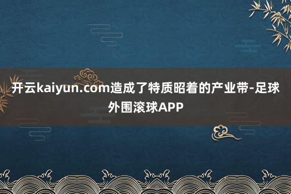 开云kaiyun.com造成了特质昭着的产业带-足球外围滚球APP