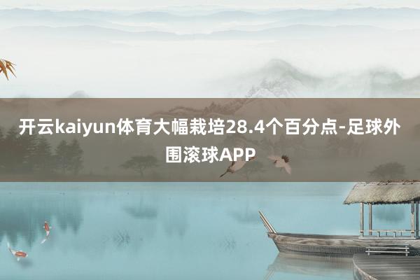 开云kaiyun体育大幅栽培28.4个百分点-足球外围滚球APP