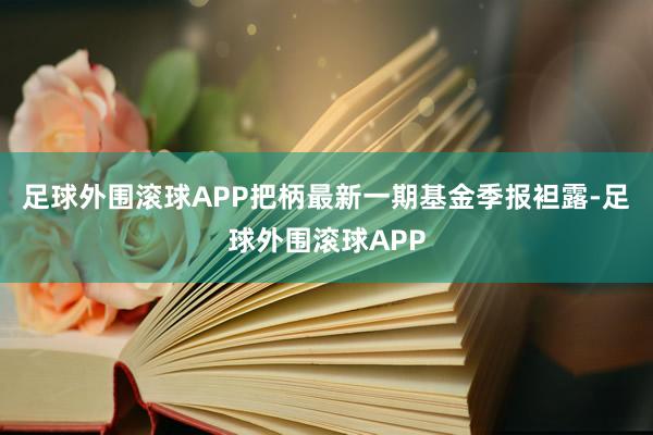 足球外围滚球APP把柄最新一期基金季报袒露-足球外围滚球APP