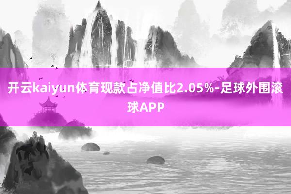 开云kaiyun体育现款占净值比2.05%-足球外围滚球APP