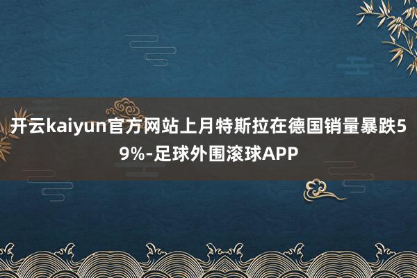 开云kaiyun官方网站上月特斯拉在德国销量暴跌59%-足球外围滚球APP