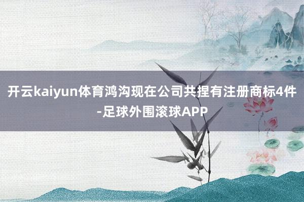 开云kaiyun体育鸿沟现在公司共捏有注册商标4件-足球外围滚球APP