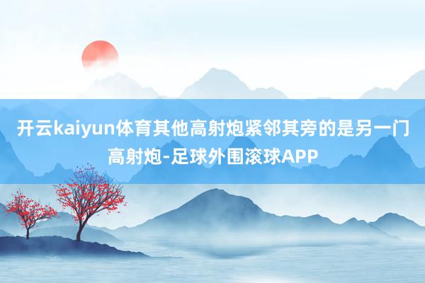 开云kaiyun体育其他高射炮紧邻其旁的是另一门高射炮-足球外围滚球APP
