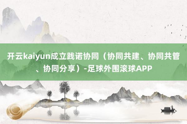 开云kaiyun成立践诺协同（协同共建、协同共管、协同分享）-足球外围滚球APP