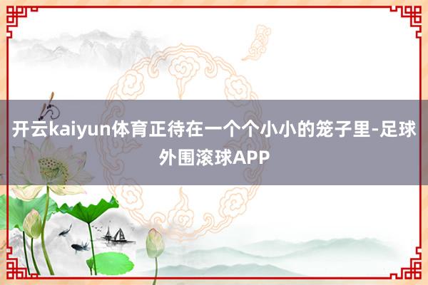开云kaiyun体育正待在一个个小小的笼子里-足球外围滚球APP