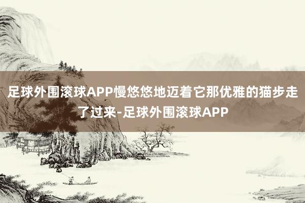 足球外围滚球APP慢悠悠地迈着它那优雅的猫步走了过来-足球外围滚球APP