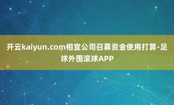 开云kaiyun.com相宜公司召募资金使用打算-足球外围滚球APP