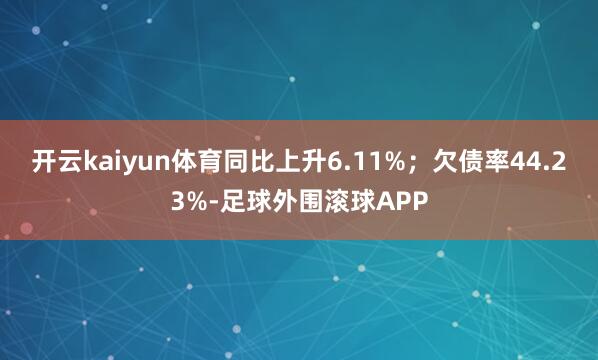 开云kaiyun体育同比上升6.11%；欠债率44.23%-足球外围滚球APP