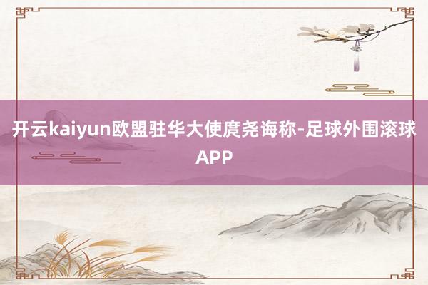 开云kaiyun欧盟驻华大使庹尧诲称-足球外围滚球APP
