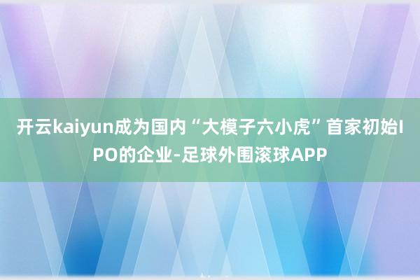 开云kaiyun成为国内“大模子六小虎”首家初始IPO的企业-足球外围滚球APP
