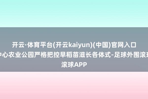 开云·体育平台(开云kaiyun)(中国)官网入口登录中心农业公园严格把控早稻苗滋长各体式-足球外围滚球APP