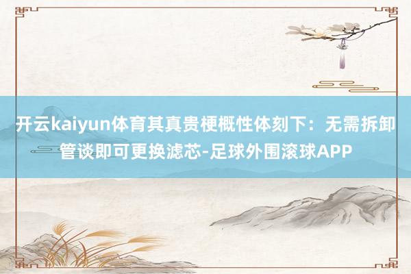 开云kaiyun体育其真贵梗概性体刻下：无需拆卸管谈即可更换滤芯-足球外围滚球APP